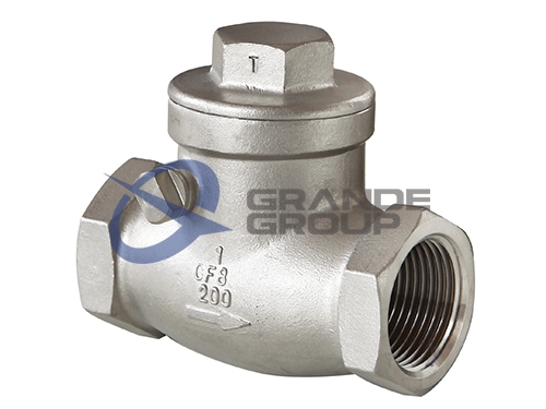 Swing Check Valve